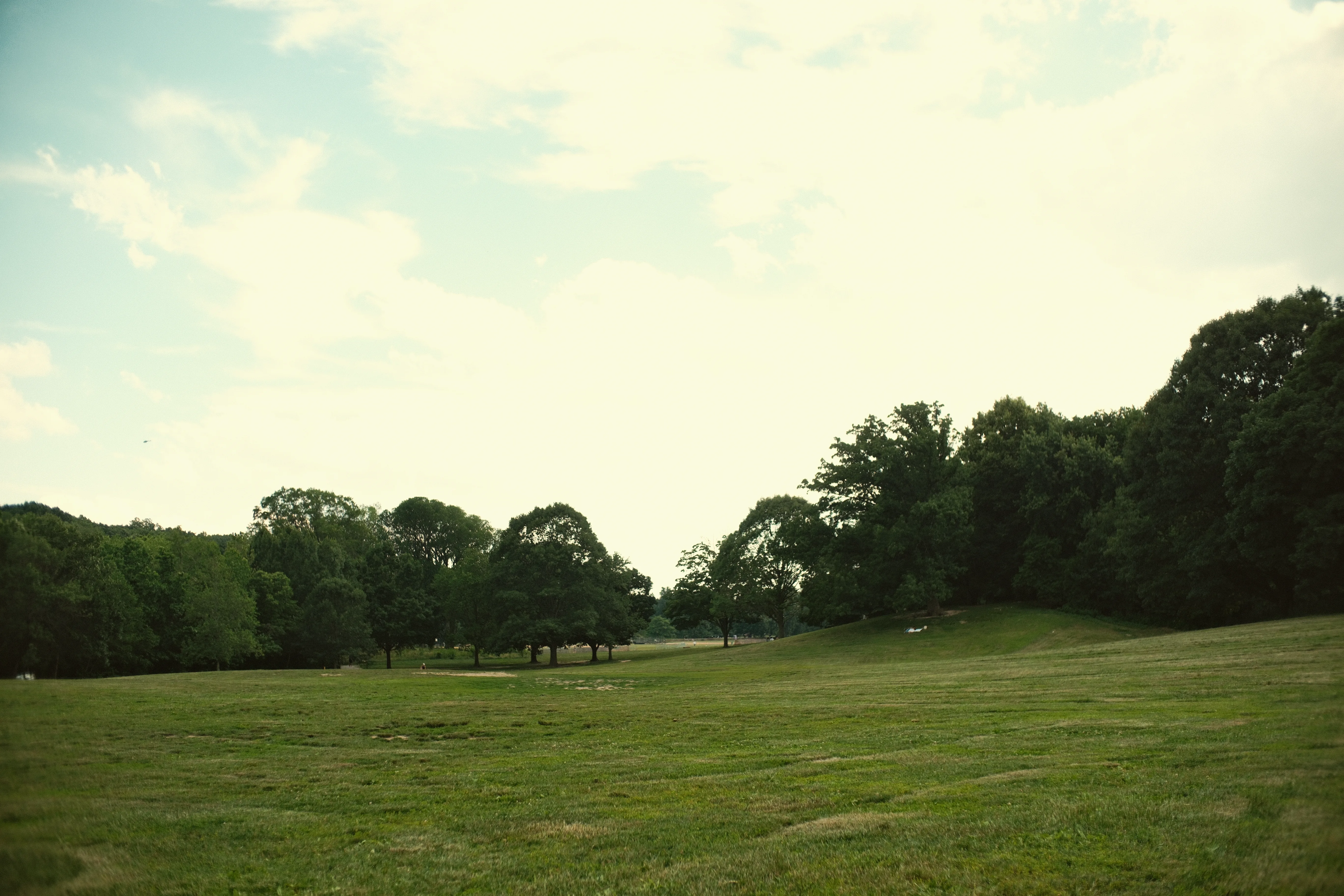 Long Meadow in Prospect Park with open grass, trees, and sky.