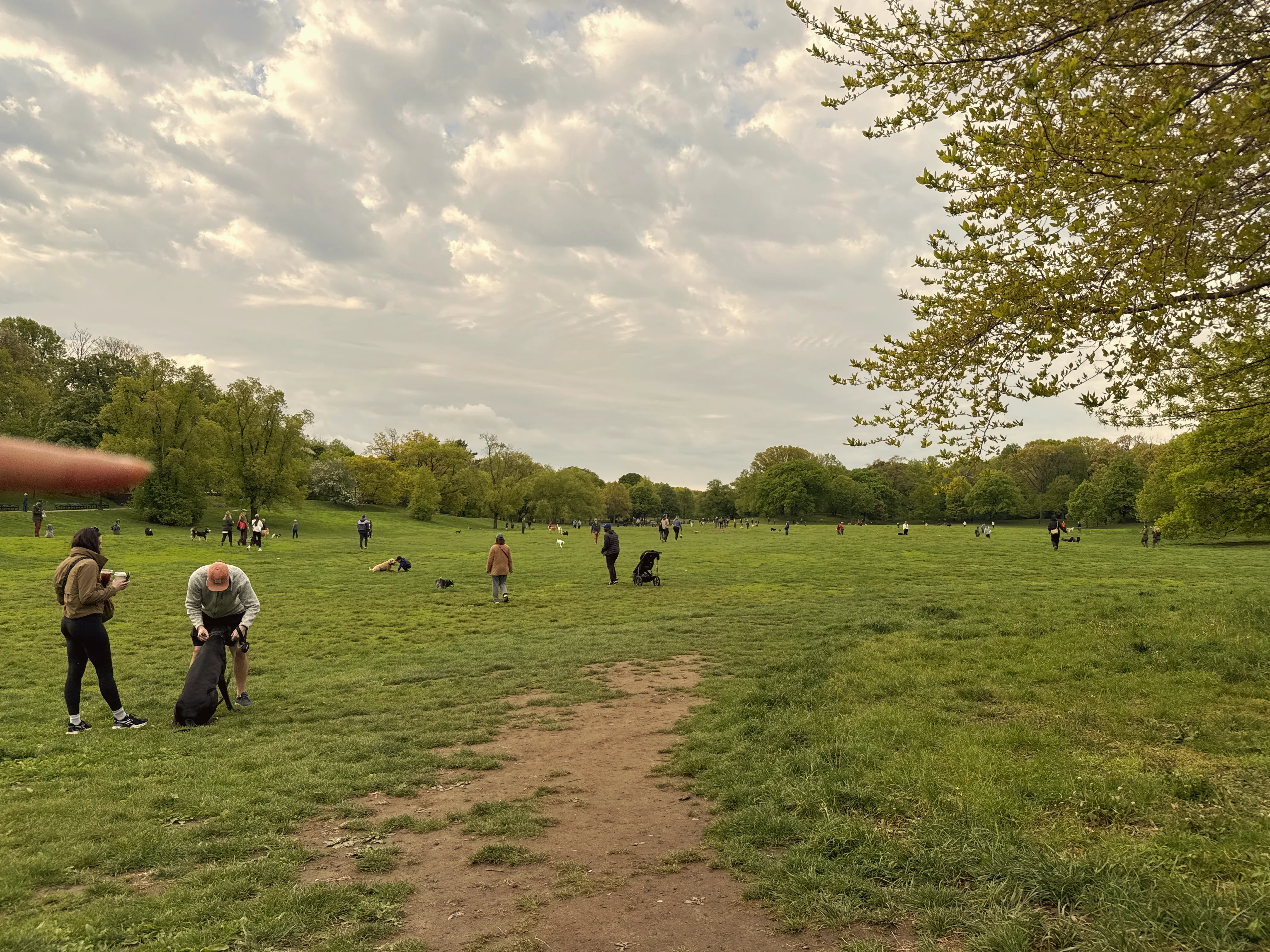 The Secret behind Prospect Park's Magic gallery image 4.